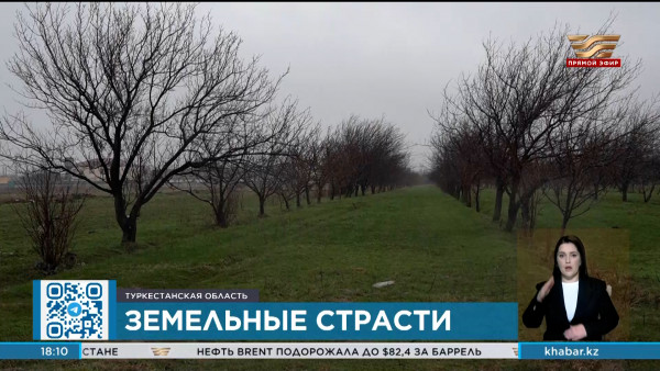 Посевная кампания под угрозой срыва в Сайрамском районе Туркестанской области