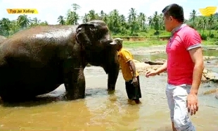 &laquo;Тур де Хабар&raquo;.Үнді мұхитының жауһары - Шри-Ланка.