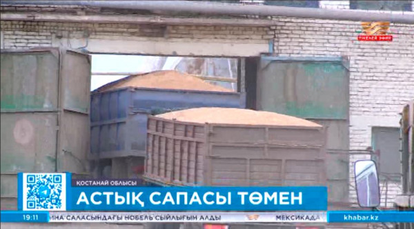 Қостанай облысындағы элеваторлар тәуліктік жұмыс кестесіне көшті