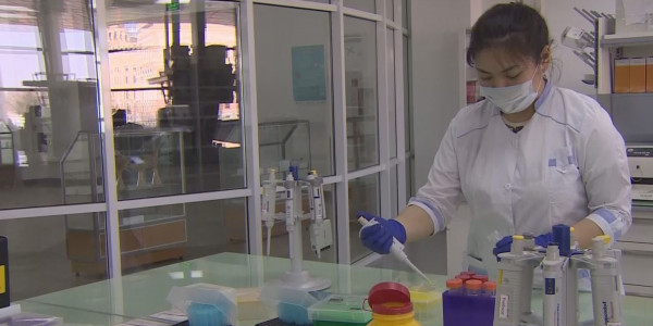 ҚР Президентінің халықаралық агенттік құру идеясына әлемдік сарапшылар пікір білдіруде