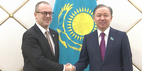 Н. Нигматулин провел встречу с делегацией Всемирной организации здравоохранения