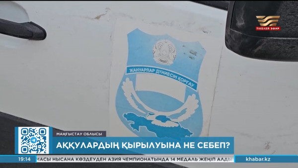 Аққулардың қырылуына не себеп?