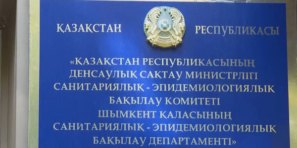 В 97 детских садах и 63 школах Шымкента зарегистрированы случаи кори