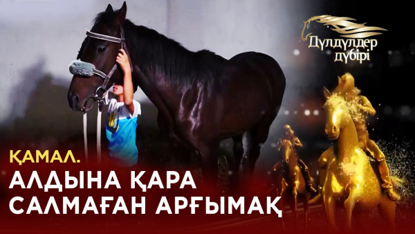 Қамал. Алдына қара салмаған арғымақ. &laquo;Дүлдүлдер дүбірі&raquo;. Бәйге.