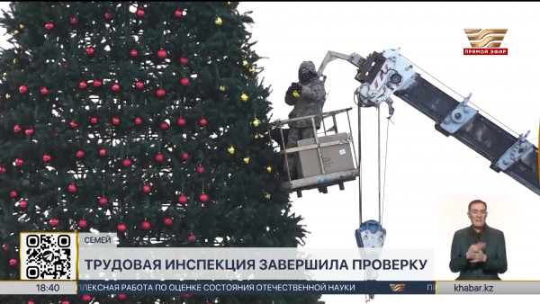 Учитель упал с елки: установлена степень вины работодателя