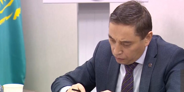 Основа Нового Казахстана &ndash; это реформы и единство общества &ndash; эксперты