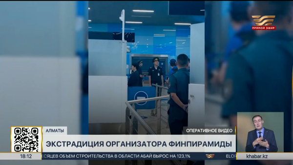 Организатора финпирамиды экстрадировали из Турции