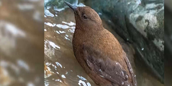 Алматылық фотографтың түсірген суреттері көпті сүйсінтті