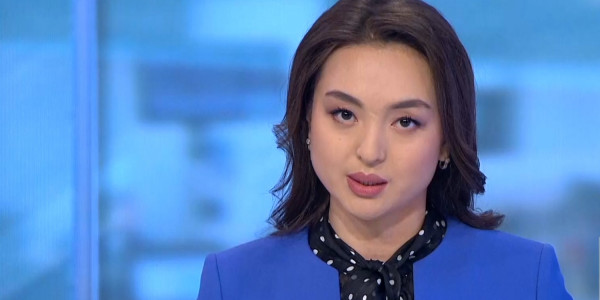 Ұлттық қоғамдық сенім кеңесінің саяси реформалар жөніндегі тобы бірнеше ұсыныс айтты