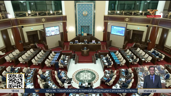 Отчет ВАП по бюджету 2024 года рассмотрели в Мажилисе