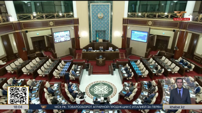 Отчет ВАП по бюджету 2024 года рассмотрели в Мажилисе