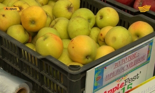 &laquo;Ас арқау&raquo;. Алма фестивалі. Арзан көкөніс