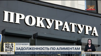 В Северо-Казахстанской области сумма задолженности по алиментам превышает ₸260 млн