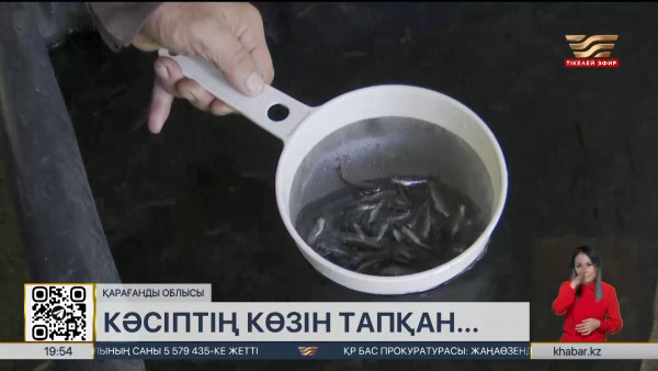 Қарағанды облысында форель балығы өсіріле бастады