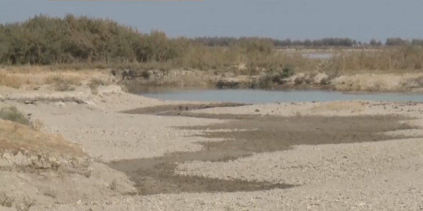 Жамбыл облысында бірнеше ауыл экологиялық апаттың алдында тұр