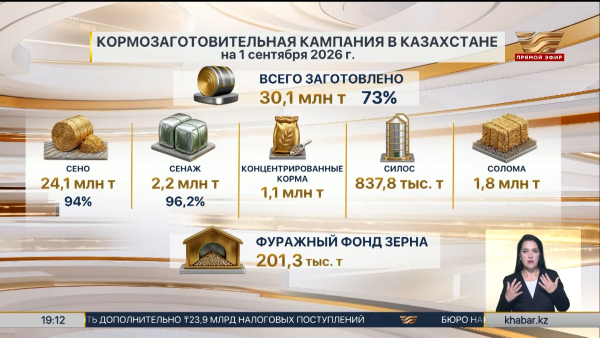 В Казахстане заготовлено более 30 млн тонн кормов