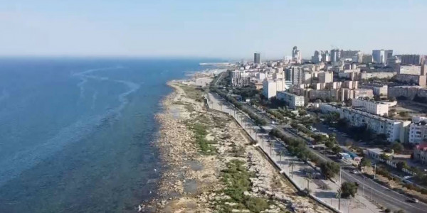 21 участок на побережье Каспийского моря был незаконно передан