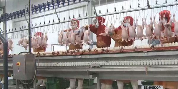 Тағам қауіпсіздігін қалай арттырамыз?