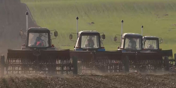 Жолдау 2021: Президент азық-түлік бағасының негізсіз өсуін сынға алды