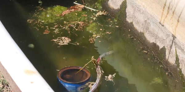 Аршалықтар арық суына қатысты мәселе көтерді