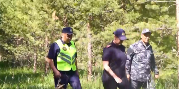 Пожарная опасность из-за аномальной жары объявлена в ВКО