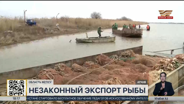 Незаконный экспорт рыбы: ущерб государству превысил ₸80 млрд