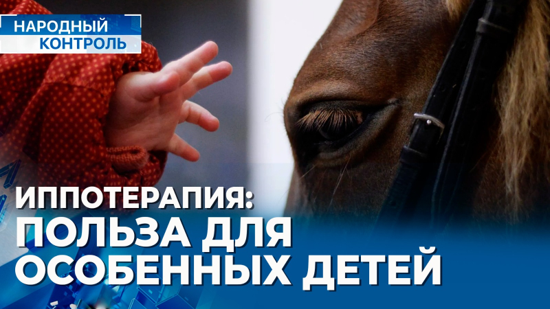 Польза иппотерапии, льготные ипотечные программы | «Народный контроль»
