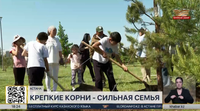 Международный день семьи: акцию по посадке деревьев провели в столице