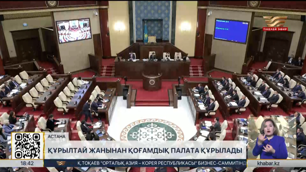 Құрылтай жанынан 50 адамнан тұратын Қоғамдық палата құрылады