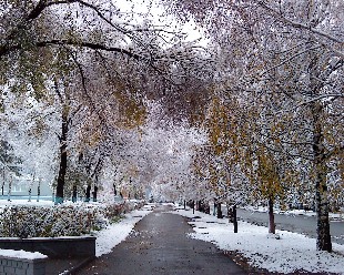 Еліміздің солтүстік бөлігінде қар жауады