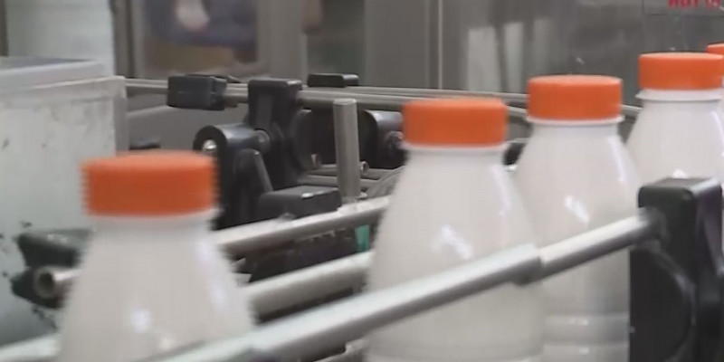 Производители молочной продукции планируют выйти на рынок Китая