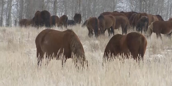 За тем, как используют земли сельхозназначения, будут следить из космоса