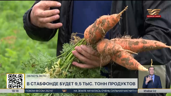 В стабфонде области Жетiсу будет 9,5 тысяч тонн продуктов