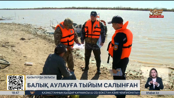 Кіші Арал теңізінен балық аулауға тыйым салынды