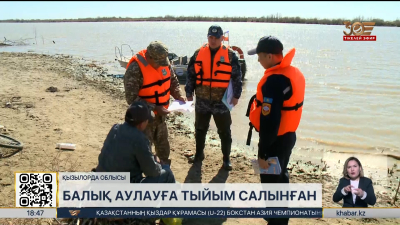 Кіші Арал теңізінен балық аулауға тыйым салынды