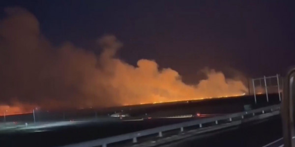 Ақмола облысында 5 орман өрті тіркелді