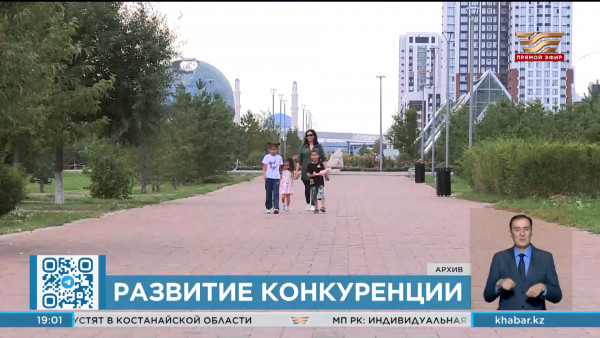 В Казахстане временно запретили создавать квазигосударственные компании