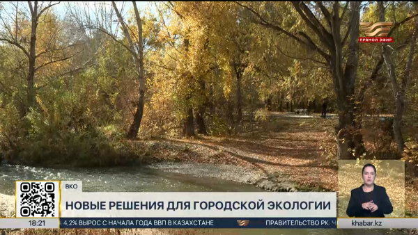 Дендрологическую карту двух городов создают в ВКО