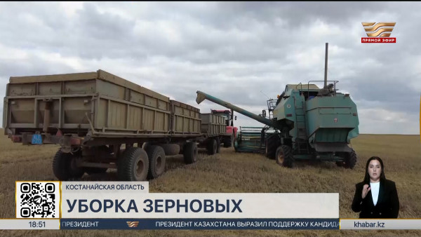 Больше 40% урожая зерновых культур убрали в Костанайской области