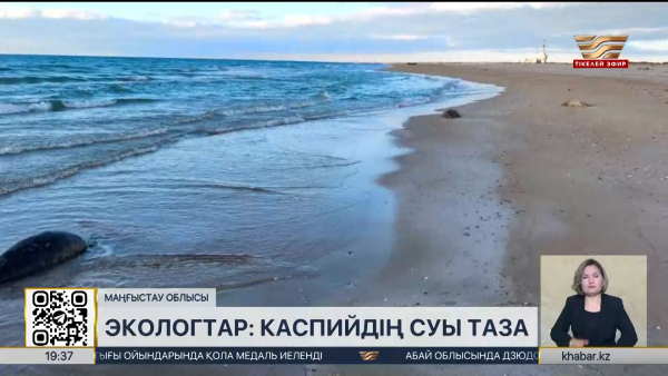 Экологтар: Каспийдің суы таза