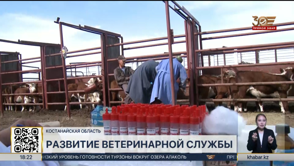 В полтора раза увеличен кадровый состав ветслужбы Костанайской области