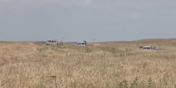 К крупнейшему нашествию саранчи готовятся в Казахстане