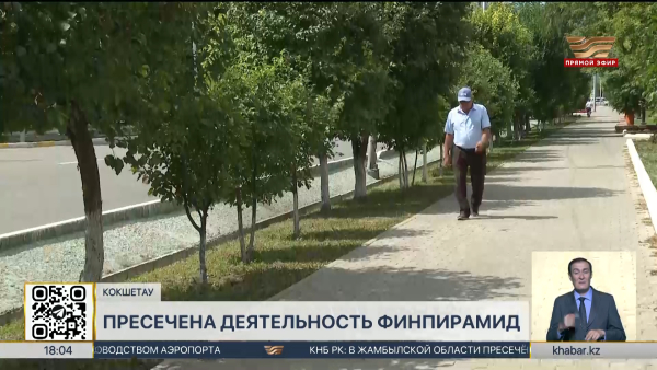 Деятельность четырёх финпирамид пресекли в Акмолинской области
