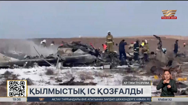 Ішкі Істер министрлігі ұшақ апатына байланысты қылмыстық іс қозғады