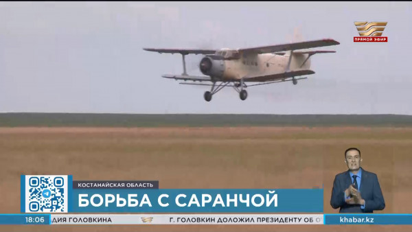 В Костанайской области продолжается борьба с саранчой