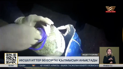 Қызметтік иттер 90 есірткі қылмысын анықтады
