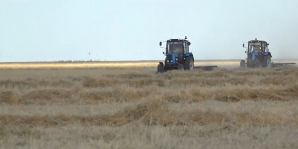 Өткен жылдардағы қуаңышылық биыл тағы қайталана ма?