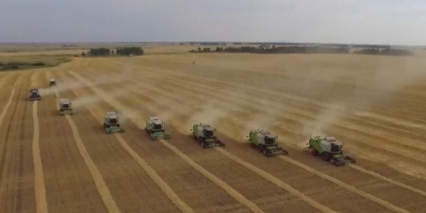 С засухой и отсутствием поливной воды столкнулись казахстанские аграрии