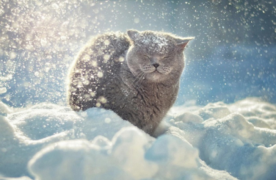 Алдағы тәуліктерде жел күшейіп, бұрқасын болады