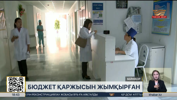 Қызылордада 129 млн теңгелік ұрлық фактісі анықталды